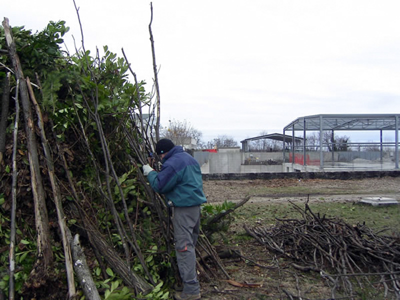 %_tempFileNamepict0115%